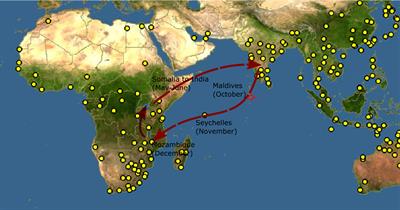 Transoceanic migration network of dragonfly Pantala flavescens: origin, dispersal and timing